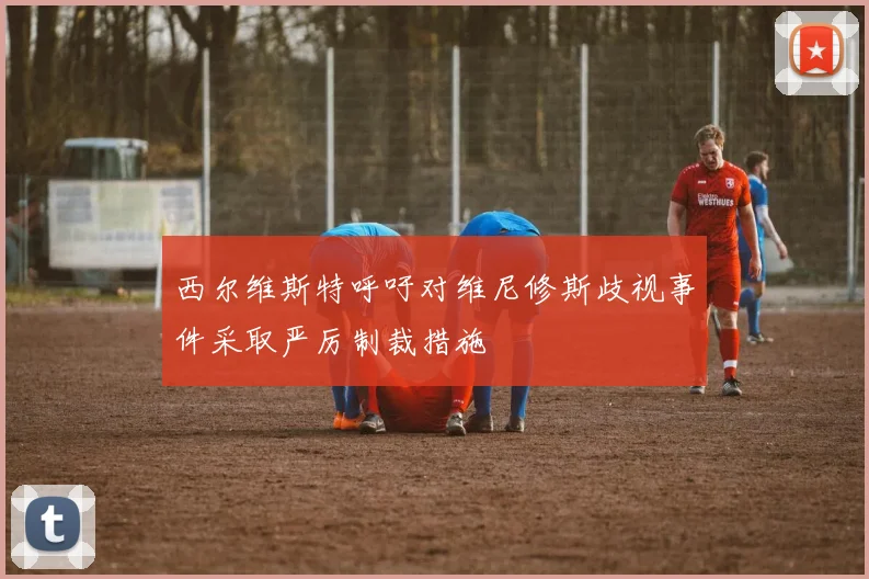 西尔维斯特呼吁对维尼修斯歧视事件采取严厉制裁措施