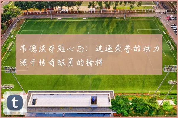 韦德谈夺冠心态：追逐荣誉的动力源于传奇球员的榜样